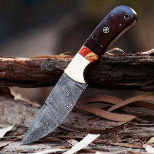 Custom handmade Damascus steel Hunting Skinner knife, camping knife, Survival knife, Full tang knife, With Rose Wood